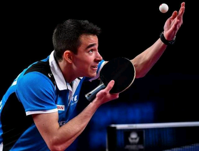 都成为了本 都成为了本