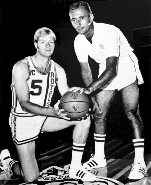 日本名将桃 日本名将桃