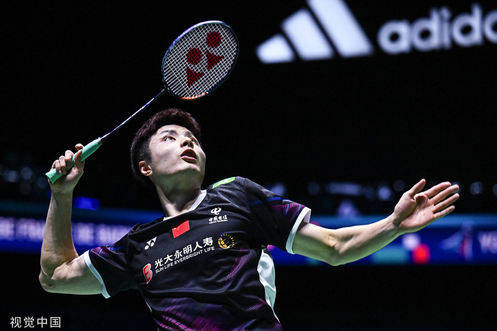 这种坚韧的 这种坚韧的